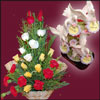 Beautiful World - Click here to View more details about this Product